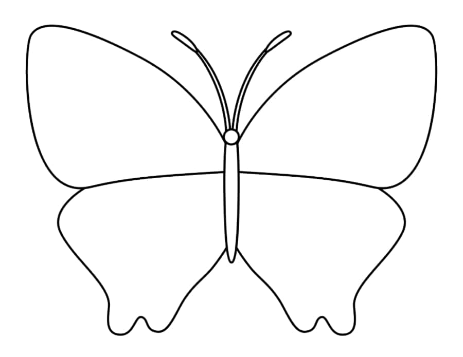 Butterfly Line Art Coloring Pages Pdf Free Vectors